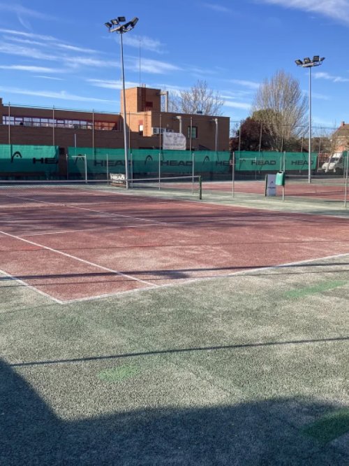 Tenis