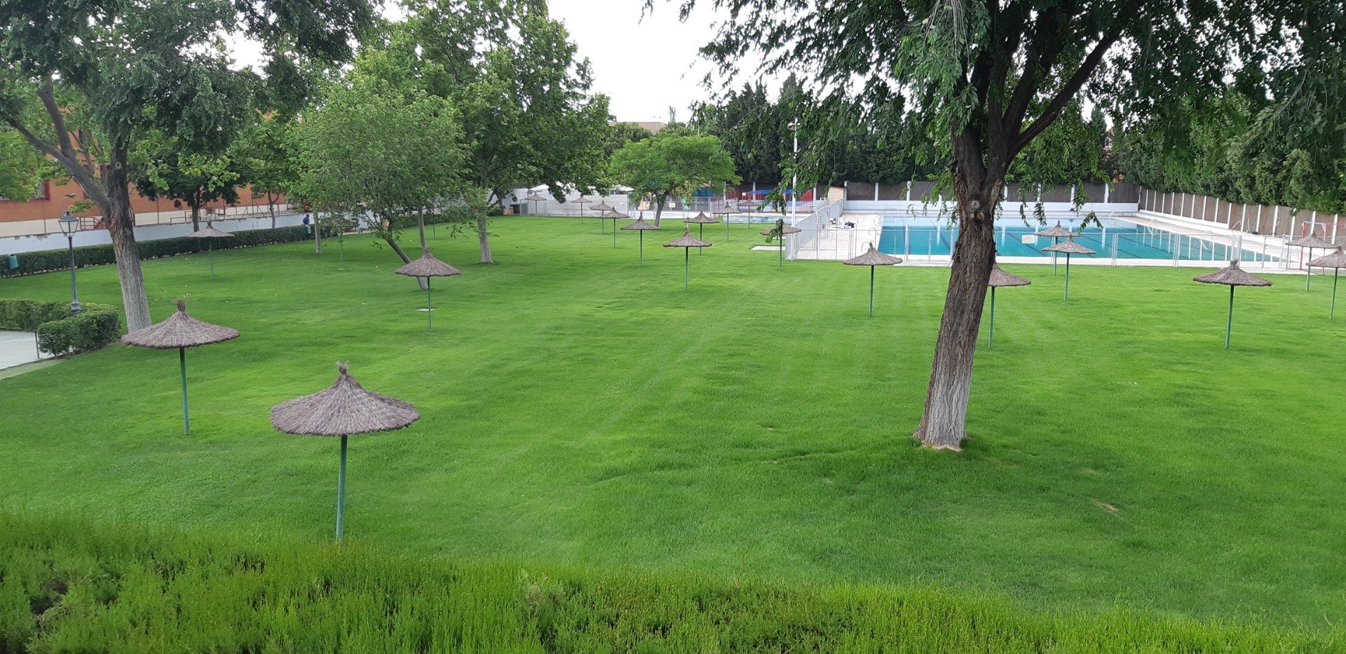 Club Buenavista