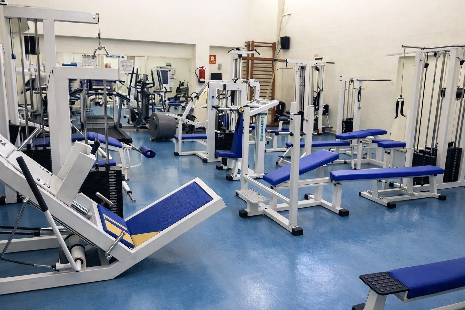 Gimnasio