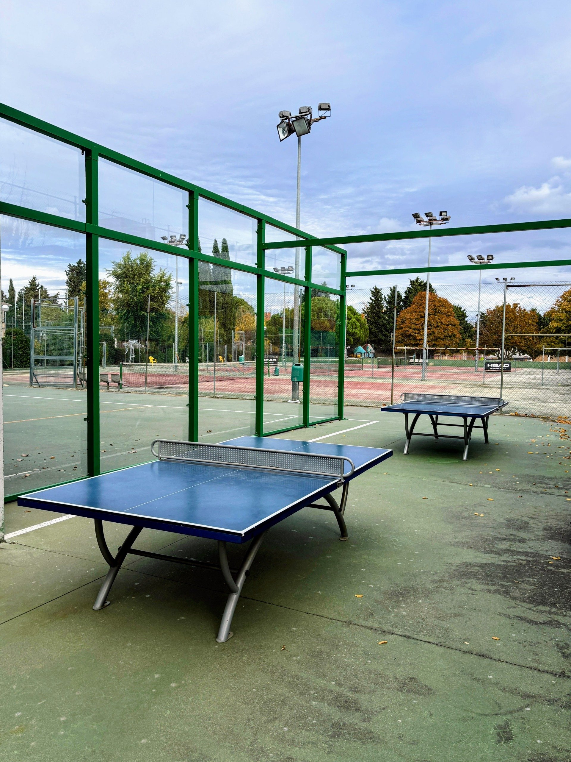 Tenis de mesa